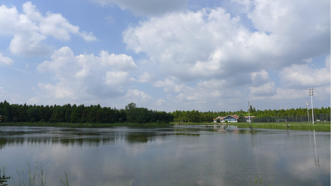 崇明西沙明珠湖景区