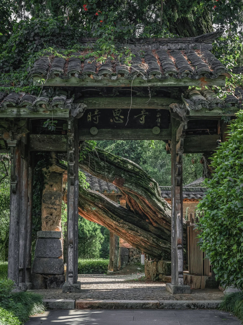 千年古迹体验