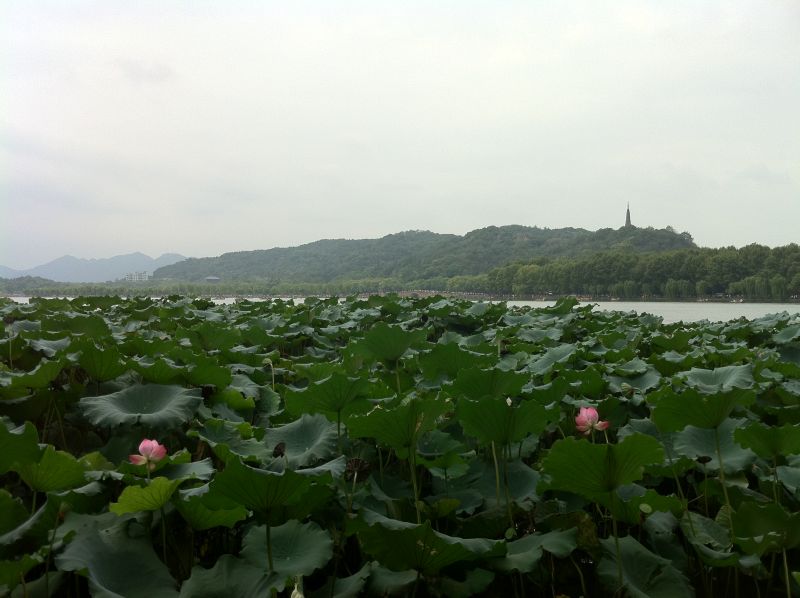 杭州西湖