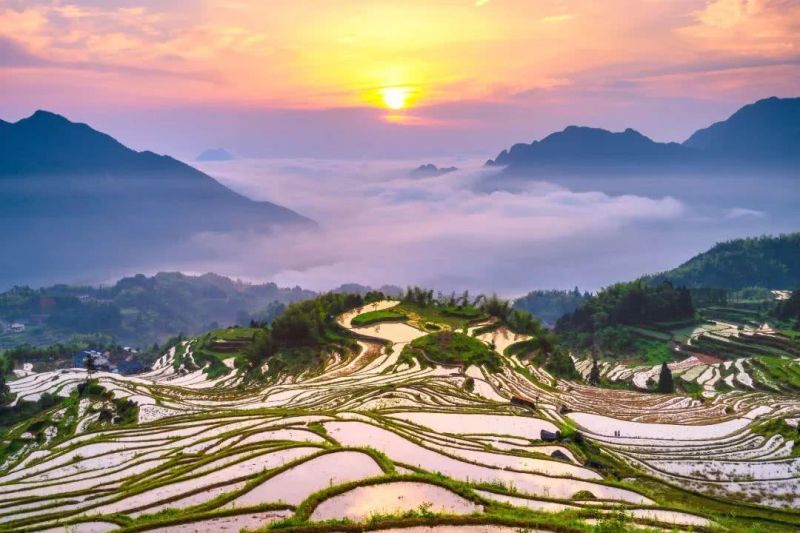 丽水云和梯田