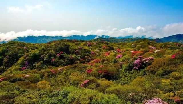 万盛黑山谷