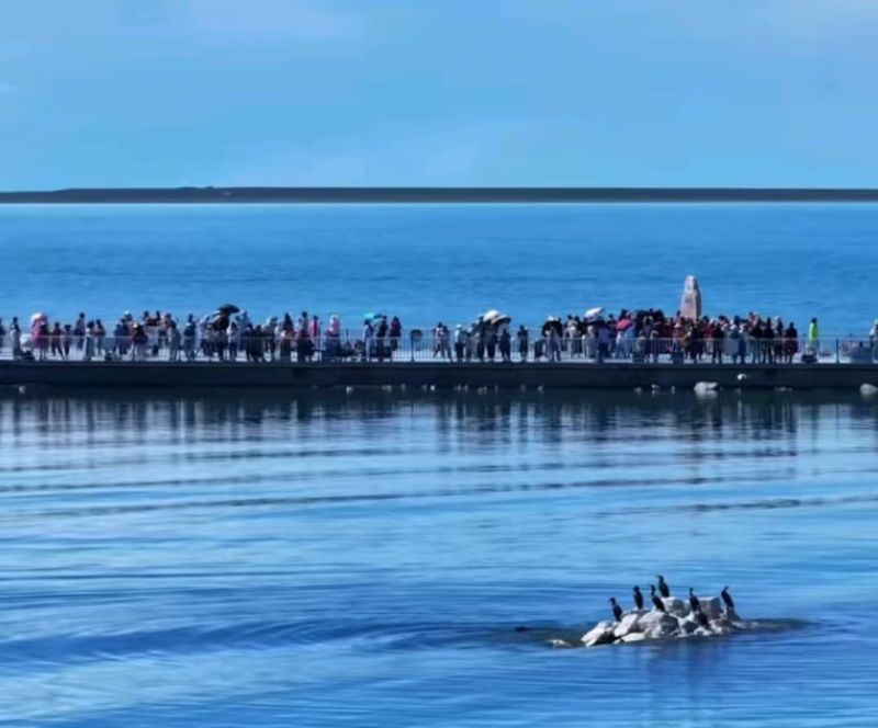 青海湖