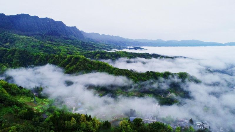 雅安碧峰峡旅游景区