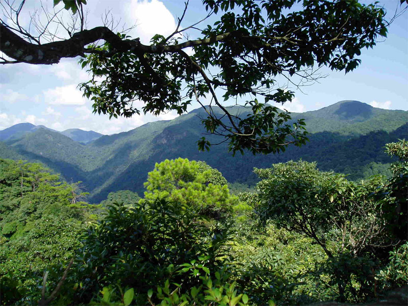 赣州三百山景区